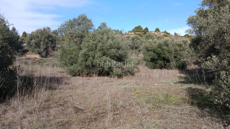 Foto 9d031b27-6f52-4185-950f-c22d10f94038. Finca rústica a n/a a Calaceite