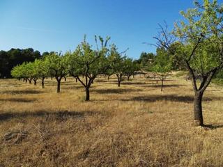 Masia a Horta de Sant Joan. Horta de sant joan – finca rústica con pozo