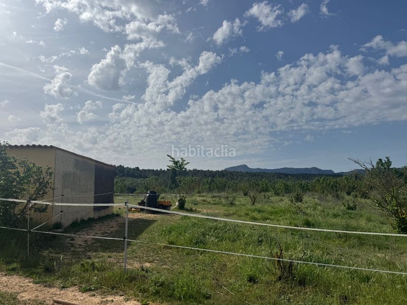 Foto 105515f9-1236-4bd6-9cde-508be8867616. Finca rústica a n/a a Cretas