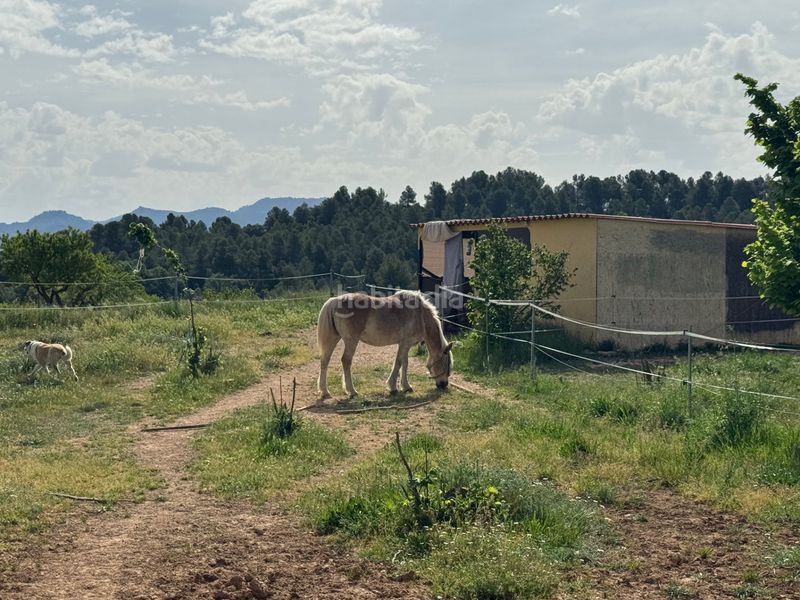 Foto a5ef53df-196c-4a03-b9a8-92a3202771f0. Finca rústica a n/a a Cretas