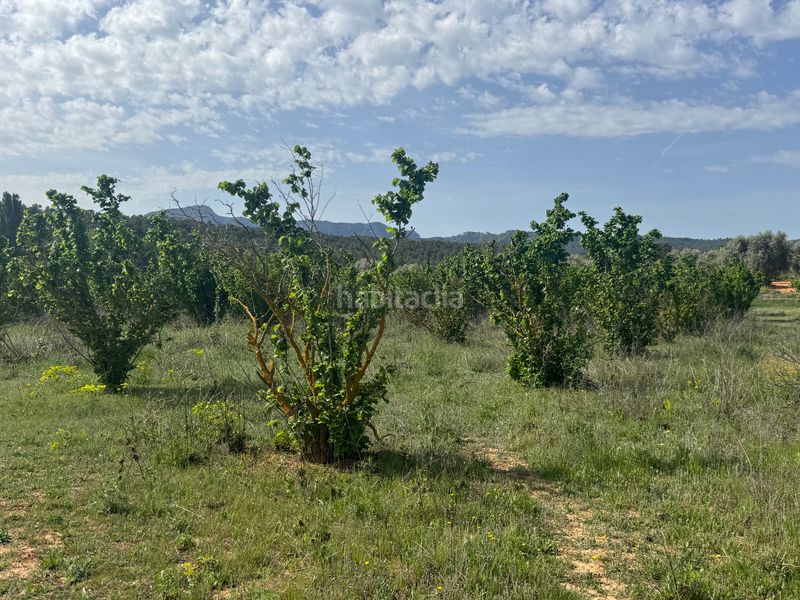 Foto ce0c7215-f450-4ac4-a5d6-2c51ade6b858. Finca rústica a n/a a Cretas