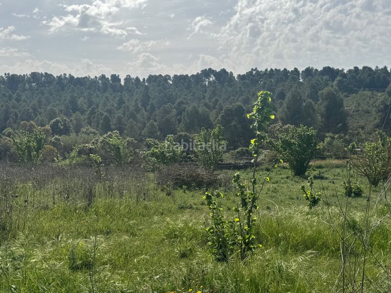 Foto e76fa1db-8f37-4508-aca7-2d1b86d71afb. Finca rústica a n/a a Cretas