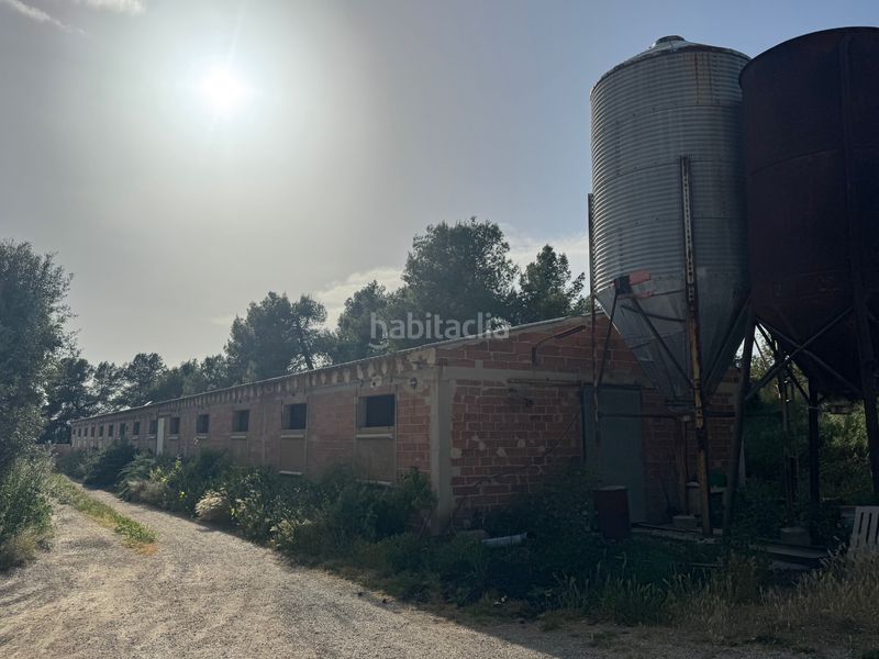 Foto cc1573a7-728a-4c47-8d2d-223814eab980. Finca rústica a n/a a Valderrobres