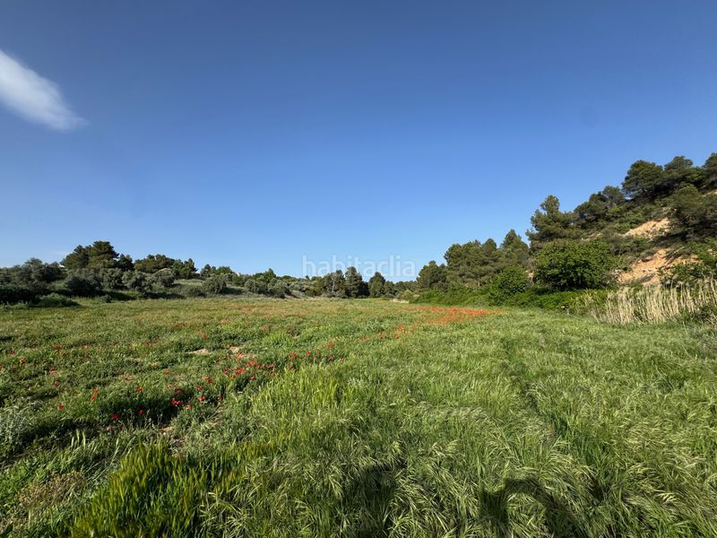 Foto e3792f7d-4031-4433-b8f1-e80f1ba2af1f. Finca rústica a n/a a Valderrobres