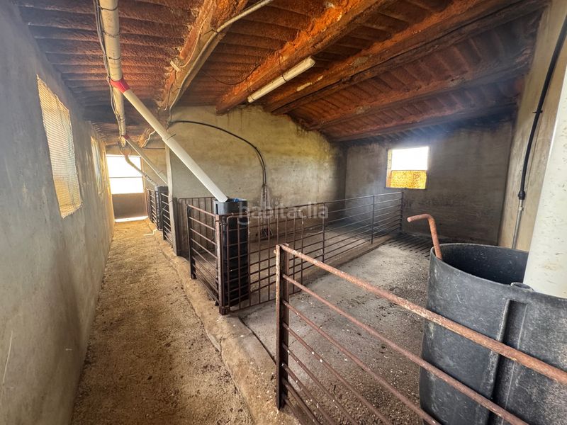 Foto 3fbd8960-bb6b-4c88-81c0-09342e80d71d. Finca rústica a n/a a Valderrobres