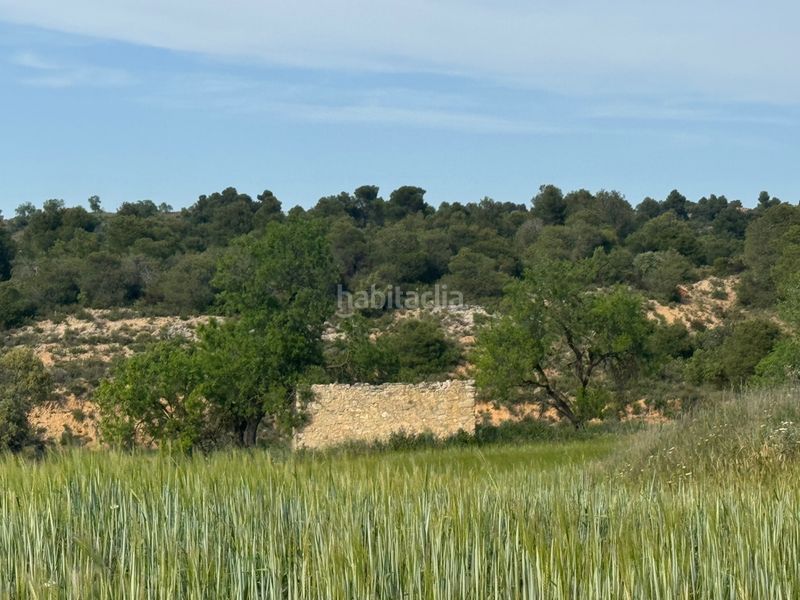 Foto 47dde01e-c5a0-4013-9d88-e725661d5623. Finca rústica a n/a a Valderrobres