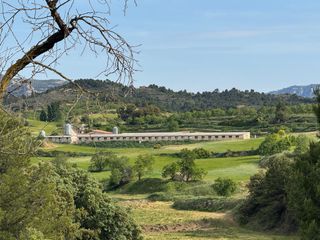 Finca rústica en N/A