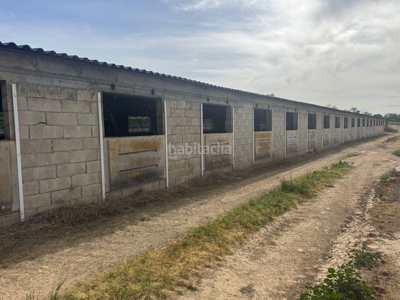 Foto f3456e1c-790a-4d23-944e-b3e51168af90. Finca rústica a n/a a Valderrobres