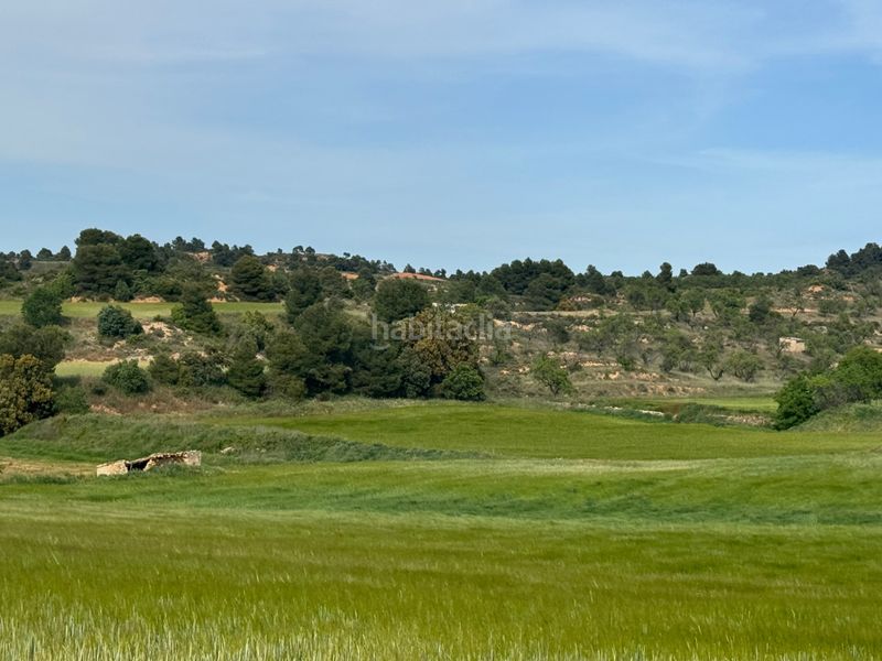 Foto fed710e7-13d3-48ab-81b0-087c8fd512b1. Finca rústica a n/a a Valderrobres