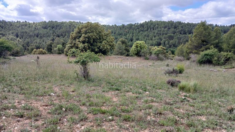 Foto b64fb625-d12a-40d3-aa46-c50fd34c419d. Finca rústica a n/a a Cerollera (La)