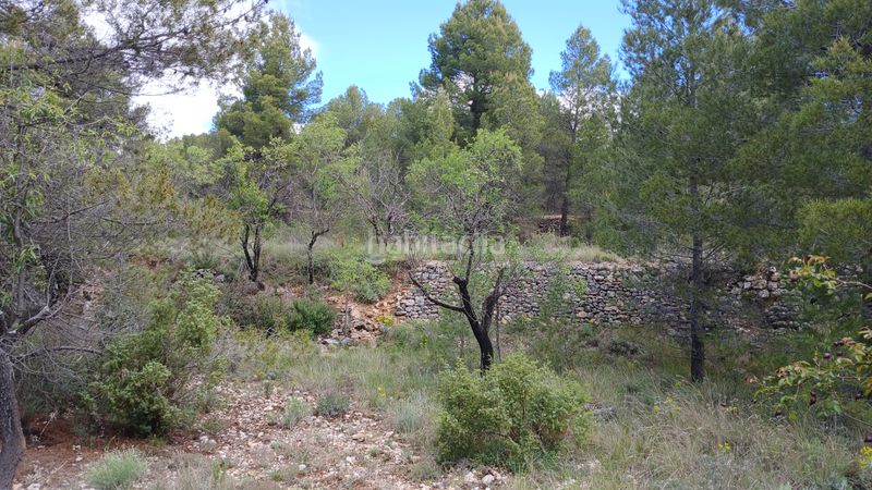 Foto b980b508-40a3-4f72-9b6f-cd56a7c008ac. Finca rústica a n/a a Cerollera (La)