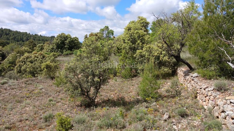 Foto d7bbee7e-d8d6-47bf-ad45-fde46aabd839. Finca rústica a n/a a Cerollera (La)