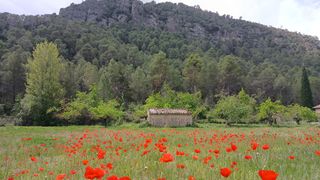 Propriété à Camino del parrizal 26. Beceite-finca delante del río
