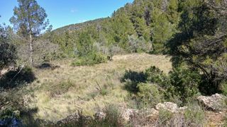 Landgut in N/a. Fórnoles-finca rústica en plena naturaleza