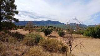 Finca rústica a Carretera Tortosa 3