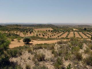 Masia a Alcañiz. Alcañiz – finca de caza de 805 hectáreas