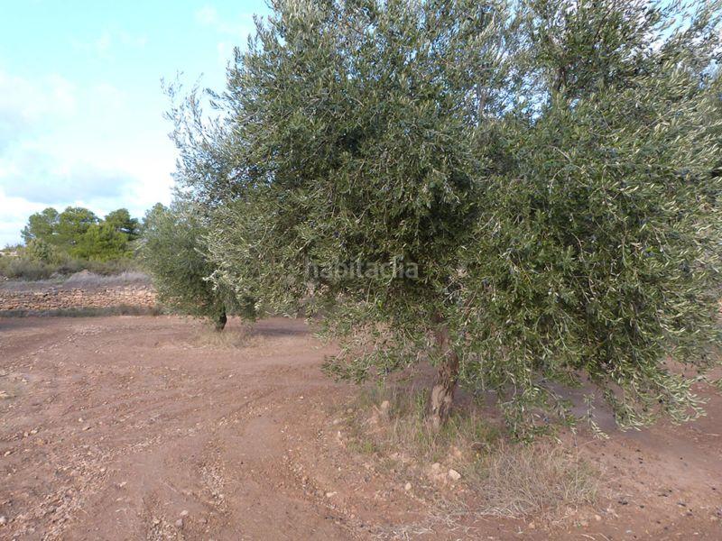 Foto 1f01067f-429b-45ba-bef3-da4ef4886ac0. Casale in Valjunquera