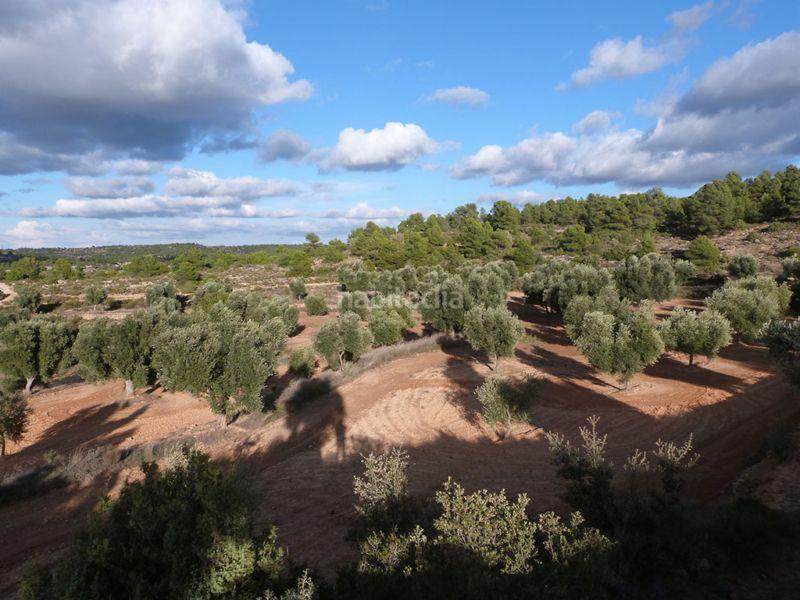 Foto 3c5f43de-e137-4ad2-9afe-ae4affa816b0. Casale in Valjunquera