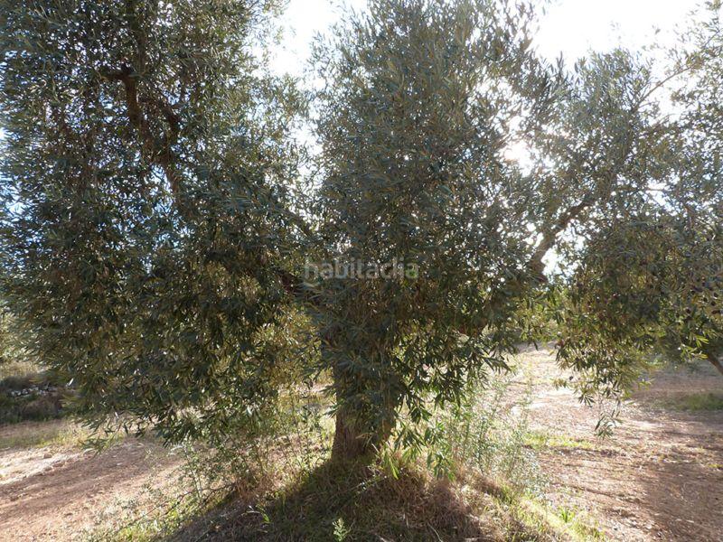 Foto 7a271ece-ffd4-477d-95a9-f6a047291224. Casale in Valjunquera