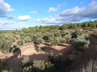 Masia a Valjunquera. Valjunquera - finca rústica de 26.300 m2