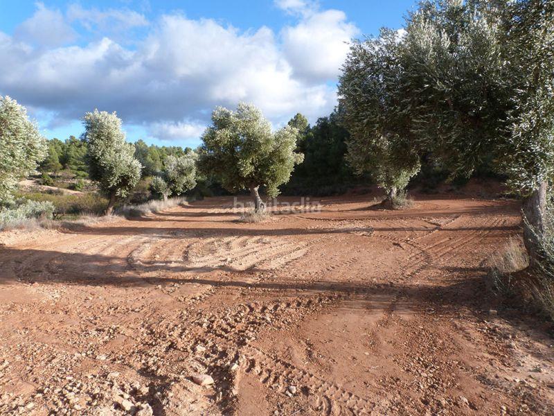 Foto 9e96a5cf-f1f2-472c-908b-19c47b720314. Casale in Valjunquera