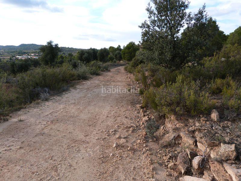 Foto a1e674cc-1c47-44a3-aaa9-c7f39fcca2ac. Casale in Valjunquera