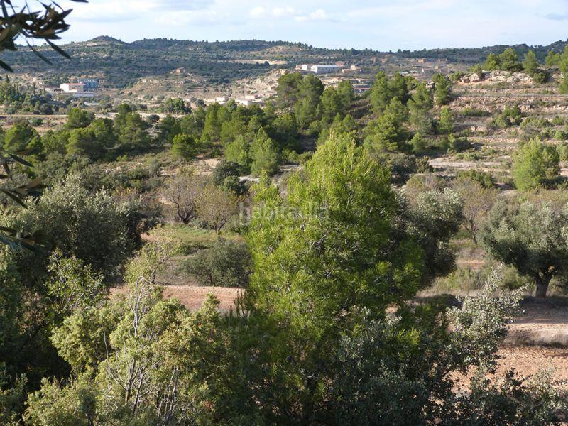 Foto ed0d746e-bf72-4f2c-9e69-cbc735549f7f. Casale in Valjunquera