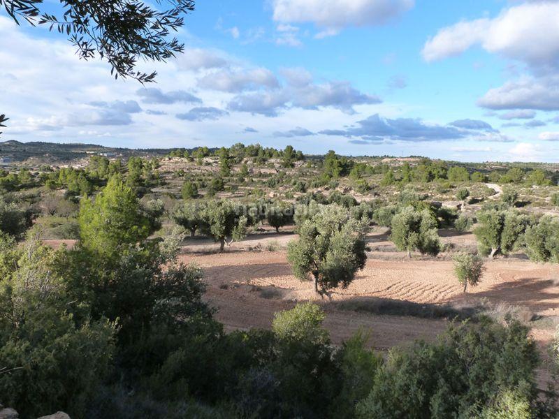 Foto f519edb4-1456-42b9-96e8-4e9431f9b9bd. Casale in Valjunquera