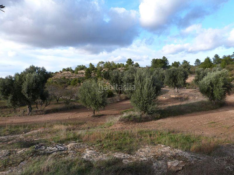 Foto fc02f853-54f3-4a6c-a218-389cb6a9cda8. Casale in Valjunquera