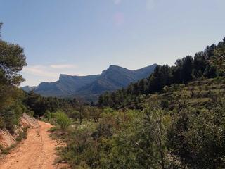 Mas à Beceite. Beceite – finca de 8,5 ha de almendros