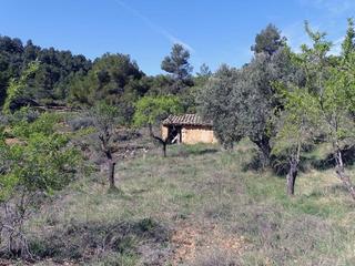 Masia a Beceite. Beceite – finca de 8,5 ha de almendros