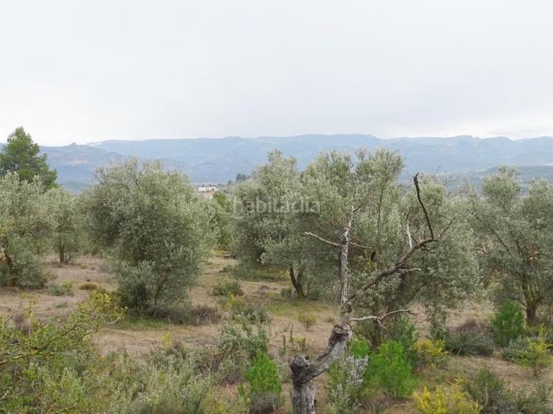 Foto 036cb15d-f4b2-4a87-be63-0f6526372466. Bauernhof in Lledó