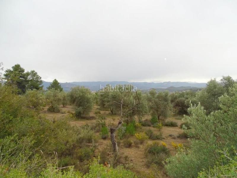 Foto 41ef743f-5413-47d9-957e-630ea0ef7514. Bauernhof in Lledó