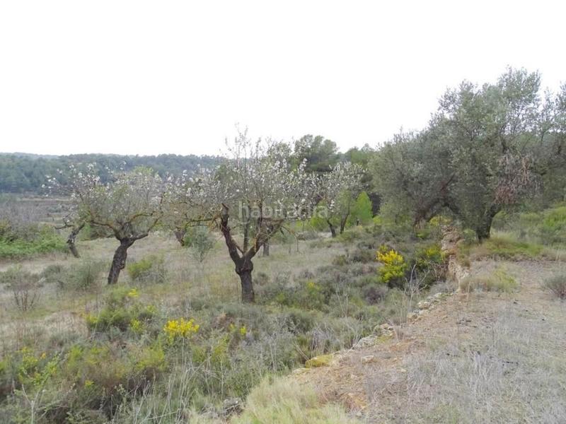 Foto 5a709809-fb47-485c-a714-8d560098fd85. Bauernhof in Lledó