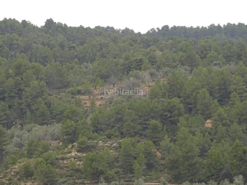 Foto 605986a2-d1fa-4594-91b0-422ca499df24. Bauernhof in Lledó