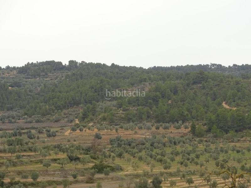 Foto 61727206-0b1d-4db4-b947-258ba671ad55. Bauernhof in Lledó