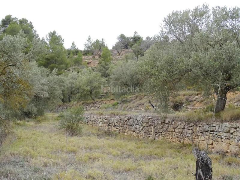 Foto 6c11f5a3-e791-4b95-a1c2-9683afea0504. Bauernhof in Lledó