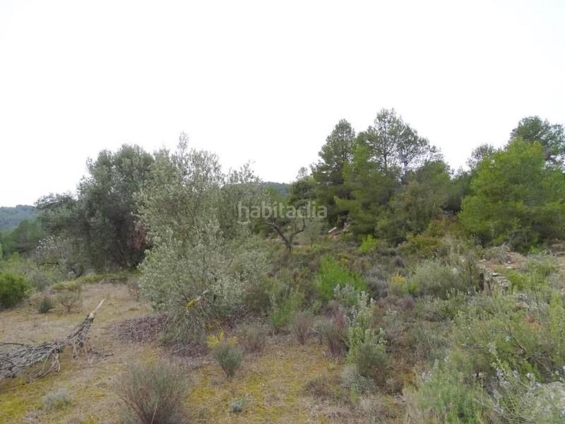 Foto 86f7b15f-b3b0-489f-b8df-452214ac1bd0. Bauernhof in Lledó