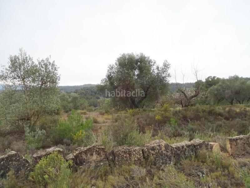 Foto aa9891e2-a3f6-4e28-b838-e41c5b23a988. Bauernhof in Lledó