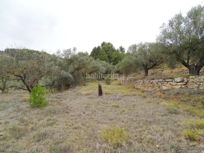 Foto b0379e2f-71e2-4640-8562-07e9351c807e. Bauernhof in Lledó