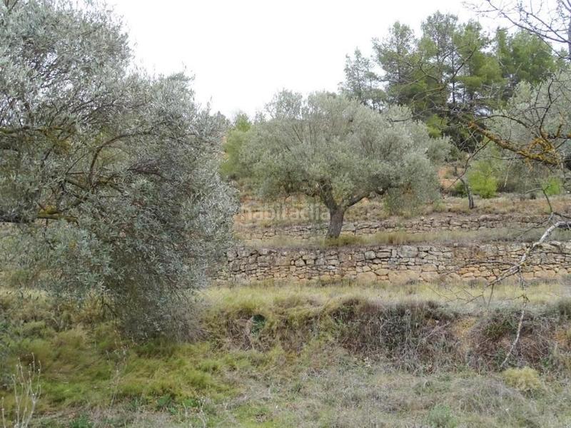 Foto d1077f03-cbdf-4147-a30e-fadeec02c87d. Bauernhof in Lledó