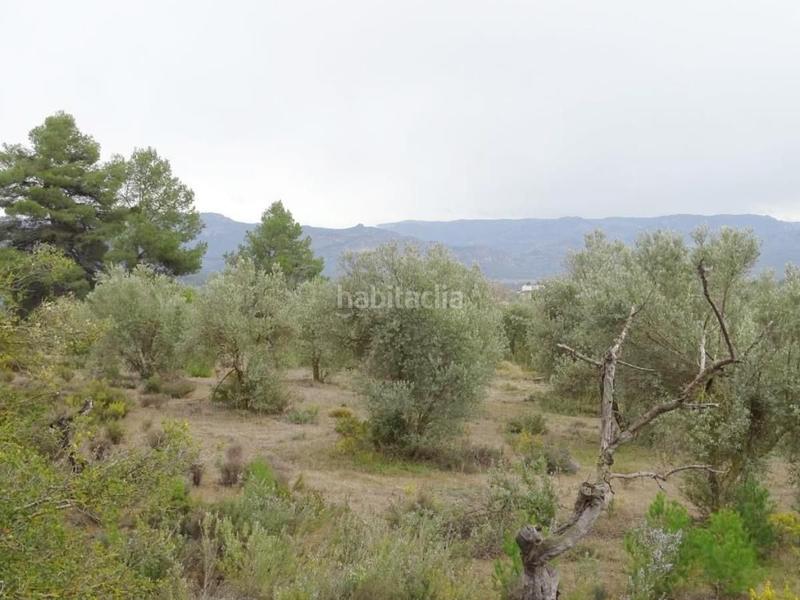 Foto eb83a389-aa16-41dc-bae8-7a2f33b3acd5. Bauernhof in Lledó