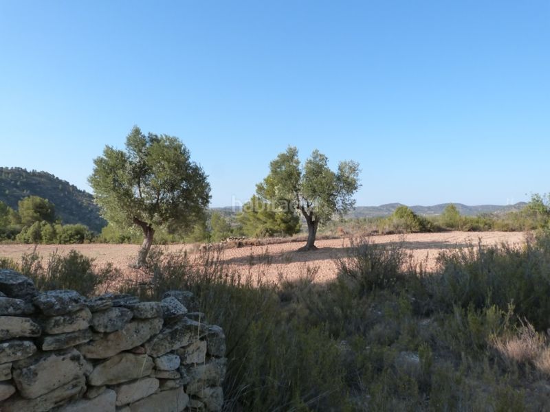 Foto 13b48c3d-19bd-4fe1-9140-1ff8f43b6a2a. Masia a Calaceite