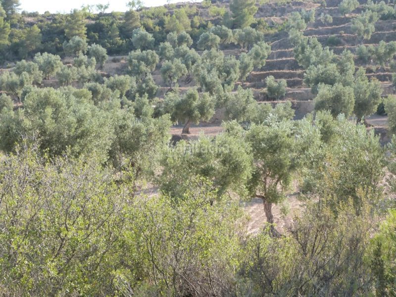 Foto 4b54105a-2f91-49da-9326-0b309b19f279. Masia a Calaceite
