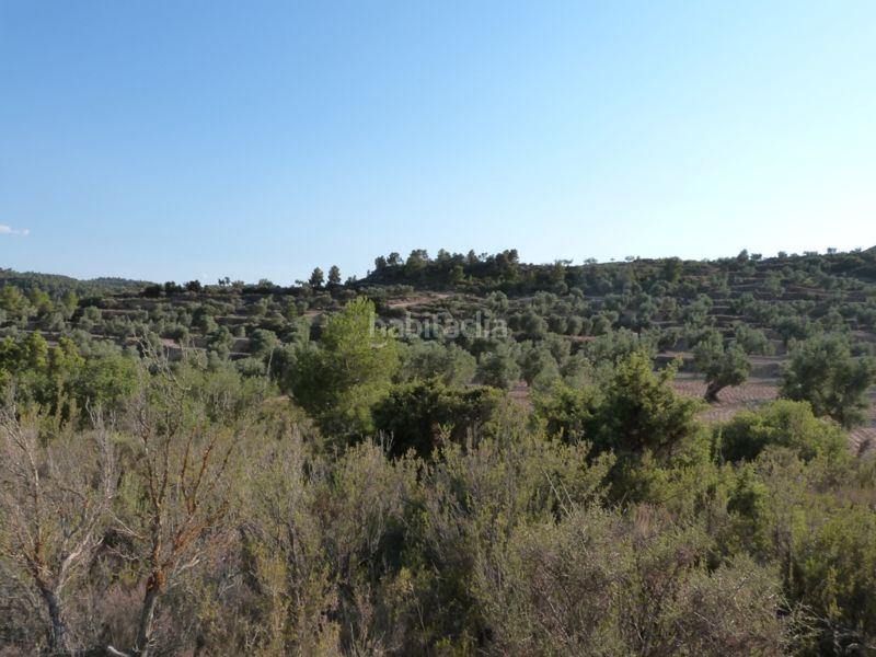 Foto 586a01c9-28dc-4a79-934b-8c6f44af05ed. Masia a Calaceite