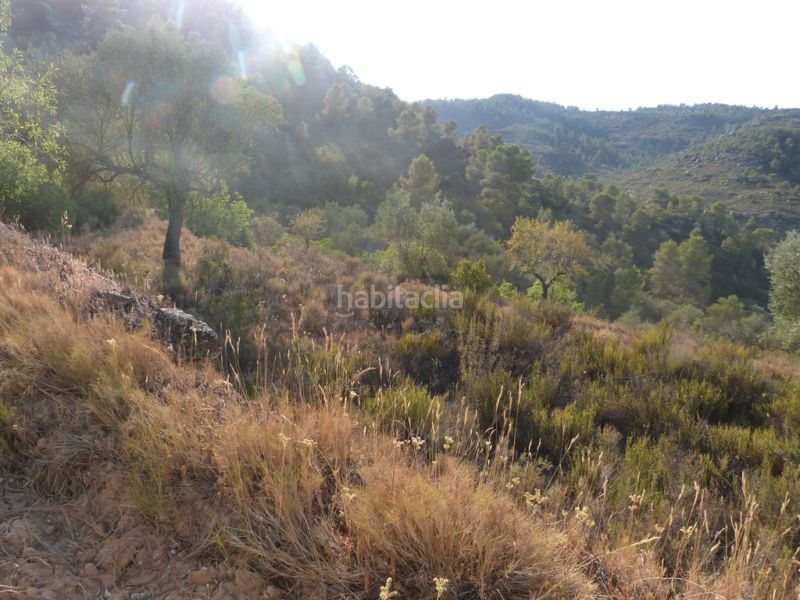 Foto 6468a0e0-c02e-4a00-8017-66a6010fb959. Masia a Calaceite