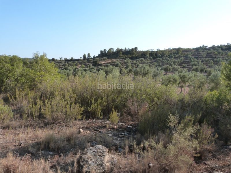 Foto 6682392c-2851-4b8b-981c-e609ebea031e. Masia a Calaceite