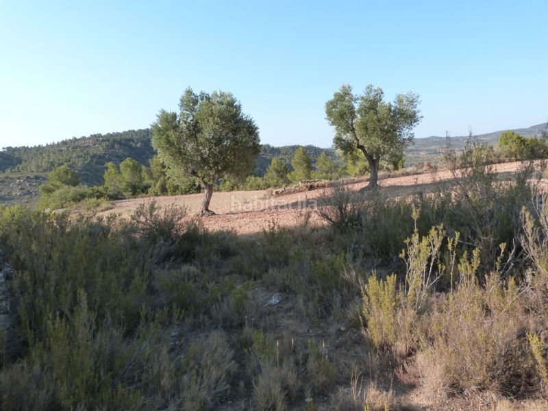 Foto 6e5fc415-f726-468a-bf2f-0aa543a118d4. Masia a Calaceite
