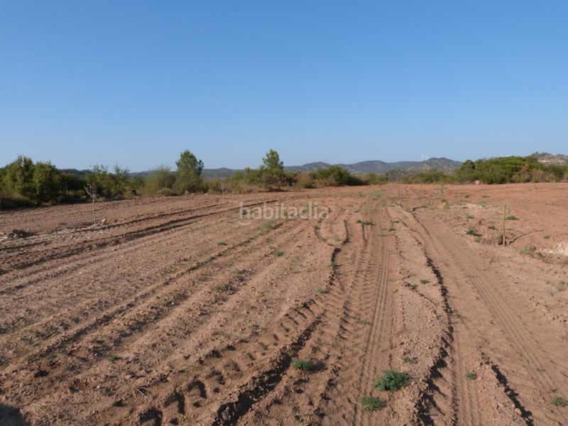 Foto 71e4a728-6e50-4996-bd51-e8883aa6a052. Masia a Calaceite