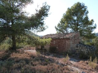 Bauernhof in Calaceite. Finca de 2,5 ha de olivos